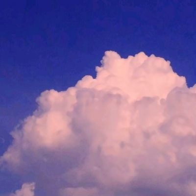 乐鱼app登录入口下载手机版