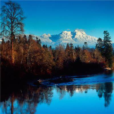 周公解梦_免费原版周公解梦大全查询 - 古途解梦官网