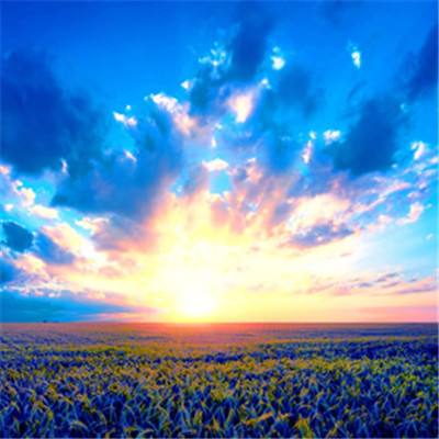 kaiyun体育全站下载手机版