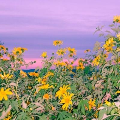 贝博bb平台体育全站版