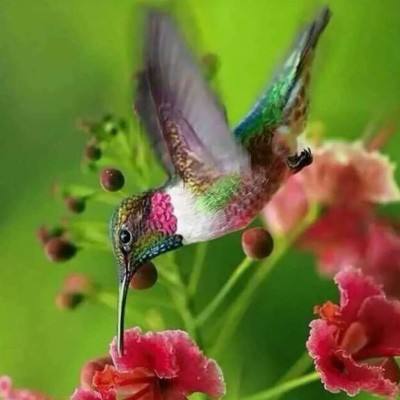 beat365平台手机app下载截图