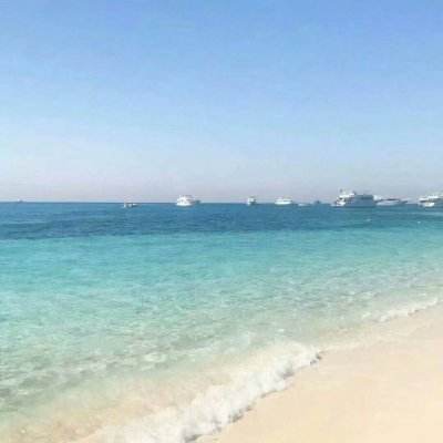 押注篮球的app手机app下载