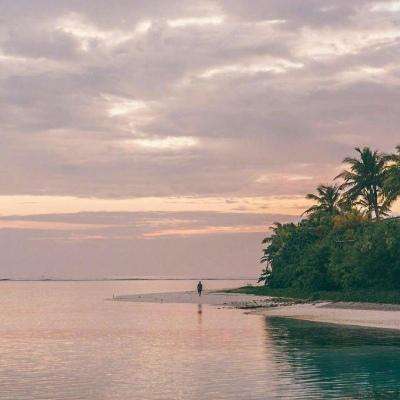 kaiyun体育官方网站全子站入口