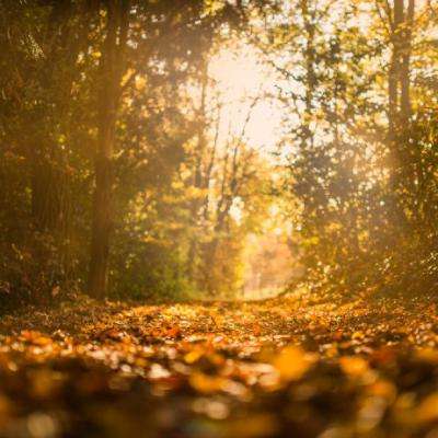 永乐国际手机app下载