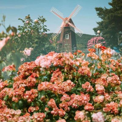 ob欧宝网页版入口