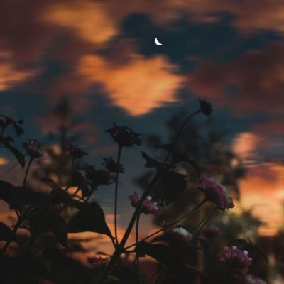 狗万官网下载手机版