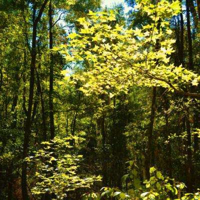 博鱼棋盘官方网站