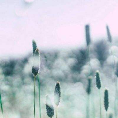 大发国际手机app下载