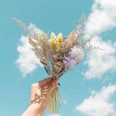 云开官方网站入口