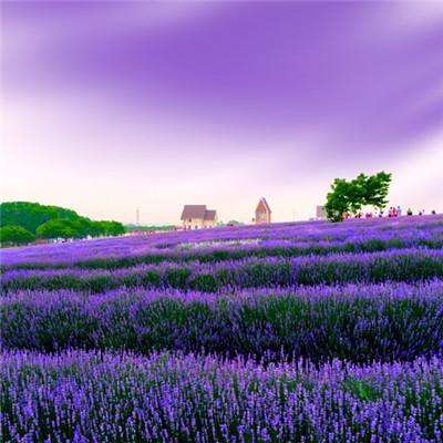 beat365平台手机app下载